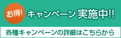 キャンペーン実施中